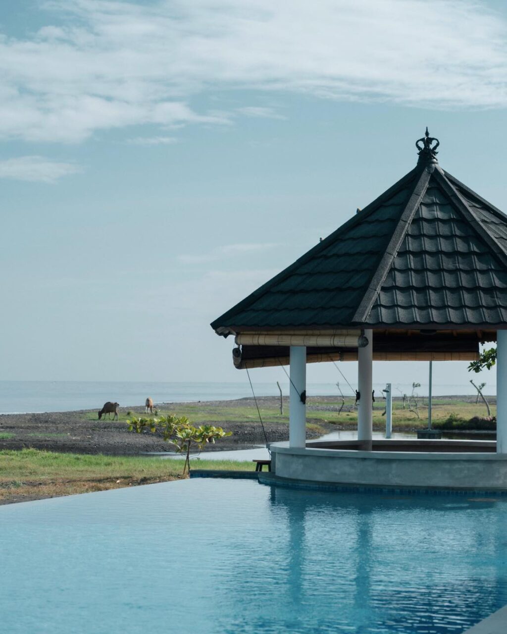 Instagram post from themanikkalisada. This post is in position 2.