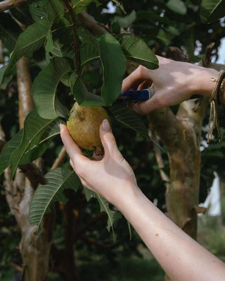 Instagram post from themanikkalisada. This post is in position 4.