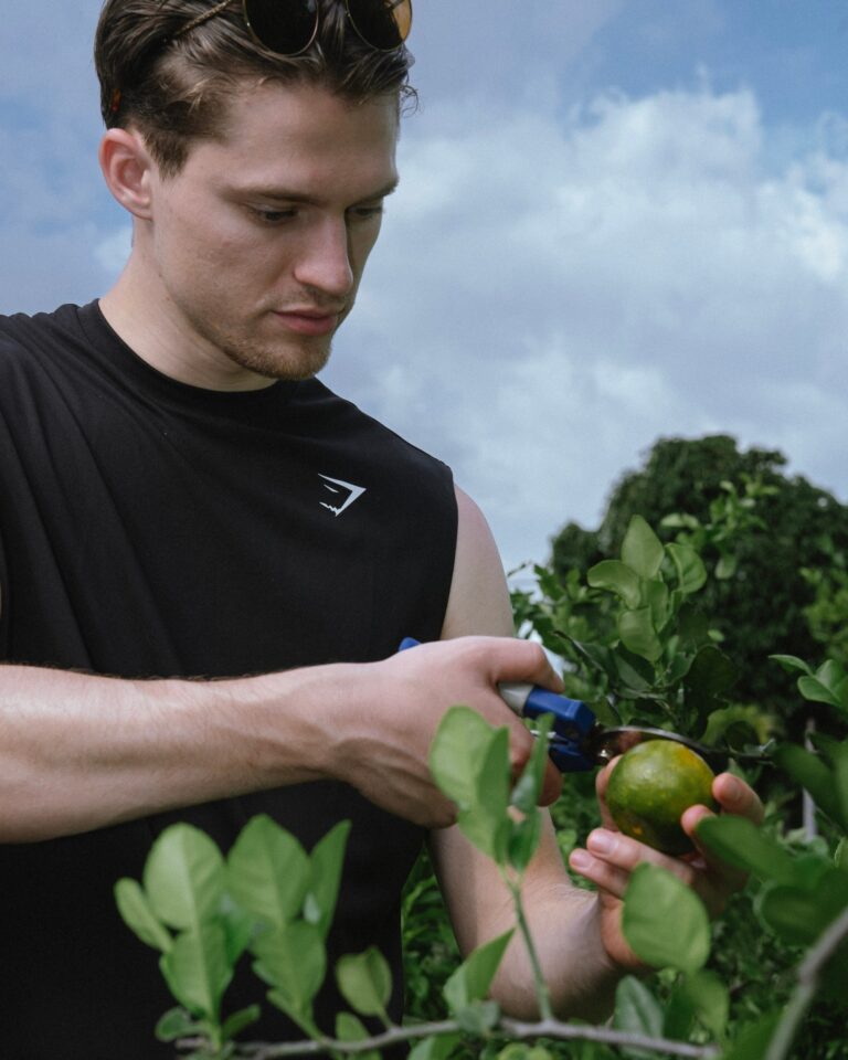 Instagram post from themanikkalisada. This post is in position 2.